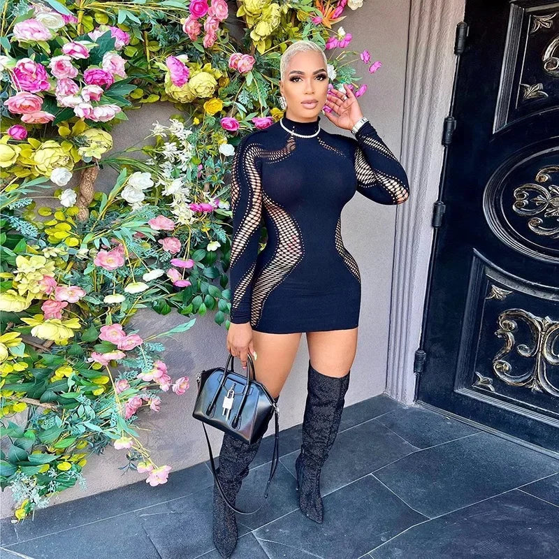 The Leona Hollow-Out Mesh Mini Dress